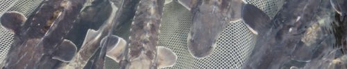 img-11-2000×2666 img-11-2000x2666